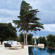 High End Mood Daybed by Tribu Casa Design Group