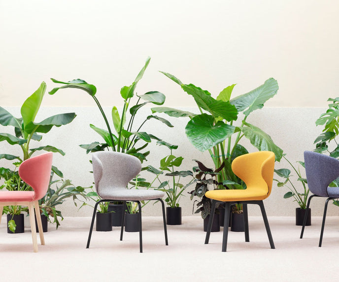 Mula Dining Chair | Miniforms