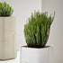 Aarde Planter Collection Indigenus