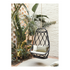 High End Nautica Swing Chair by Expormim Casa Design Group