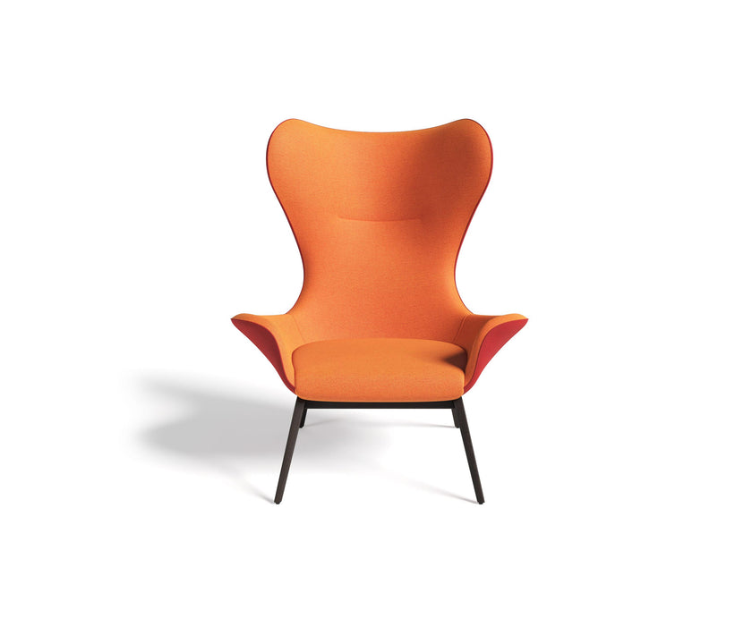 Nirvana Armchair | Torro 1961