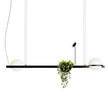 High end Palma Hanging Lamp by Vibia Casa Design