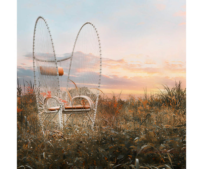 High end Papillon Easy Armchair by Kenneth Cobonpue Casa Design