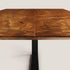 Piedmont Conference/ Dining Table Skram