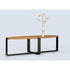 Piedmont Elliptical Low Table Skram