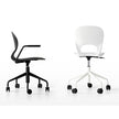 Pikaia with Castors Chair Kristalia