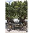 Luxury Piper 221 Italian Outdoor Dining Armchair by Roda | Casa Design Group