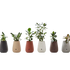 Aarde Planter Collection Indigenus