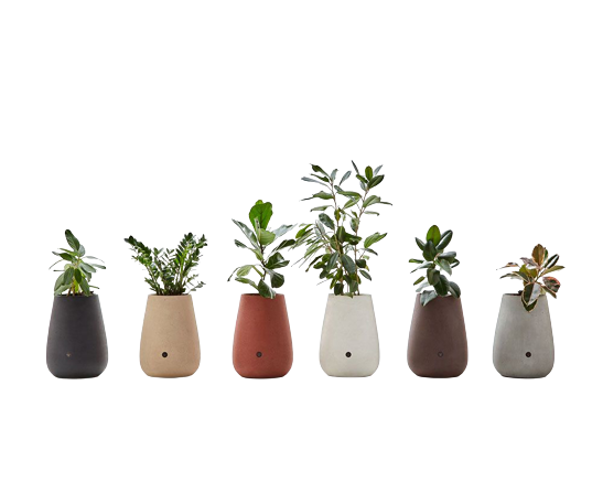 Aarde Planter Collection Indigenus