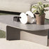Aspic 002 Coffee Table I Roda 