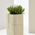 Aarde Planter Collection Indigenus