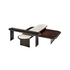 Sensei Coffee Table
