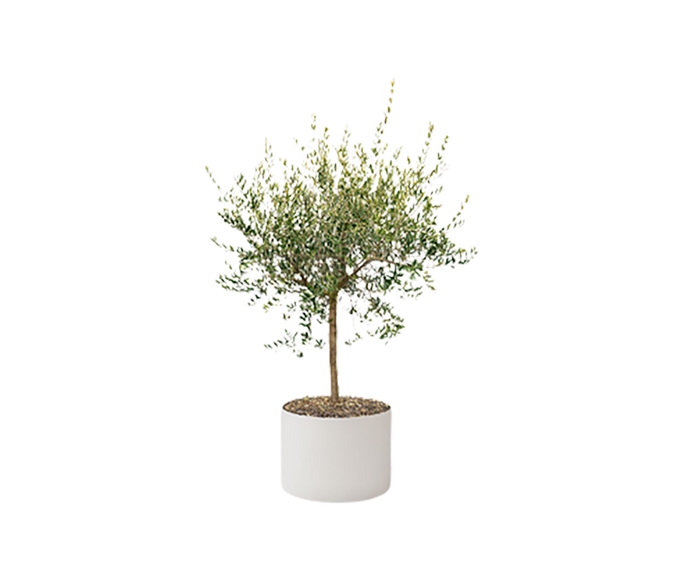 Modern Shield Outdoor Planters by Paola Lenti Casa Stylish Solutions for Outdoor Spaces Casa Design Group