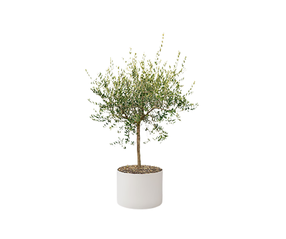 Modern Shield Outdoor Planters by Paola Lenti Casa Stylish Solutions for Outdoor Spaces Casa Design Group
