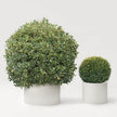 Modern Shield Outdoor Planters by Paola Lenti Casa Stylish Solutions for Outdoor Spaces Casa Design Group