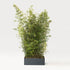 Modern Shield Outdoor Planters by Paola Lenti Casa Stylish Solutions for Outdoor Spaces Casa Design Group