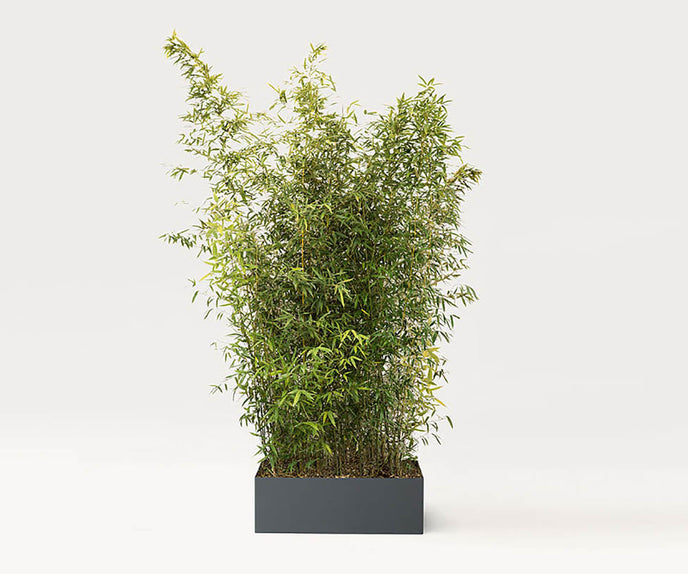 Modern Shield Outdoor Planters by Paola Lenti Casa Stylish Solutions for Outdoor Spaces Casa Design Group