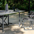 Rivera Director Dining Chair Talenti