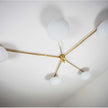 Stella Starfish Lamp Design For Macha