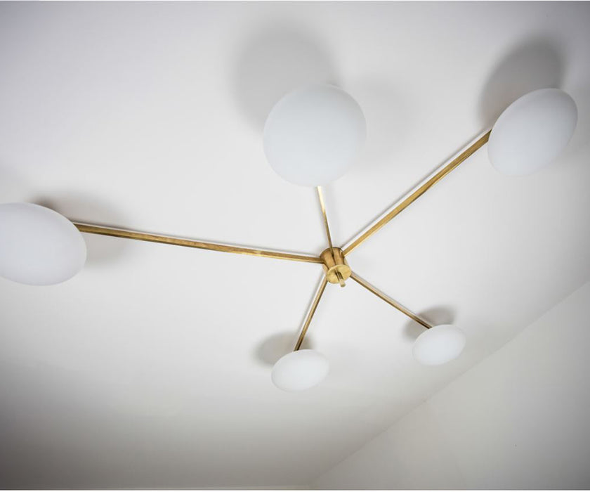 Stella Starfish Lamp Design For Macha