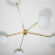 Stella Starfish Lamp Design For Macha