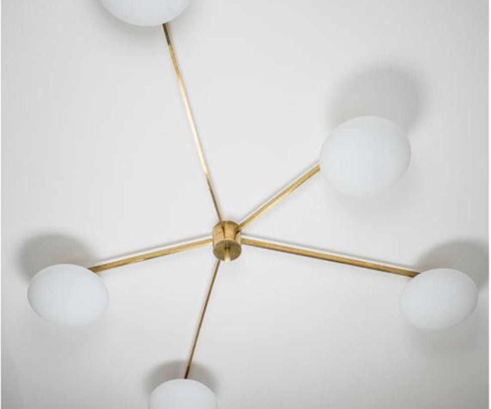 Stella Starfish Lamp Design For Macha