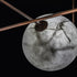 High End Superb-All Horizontal Ceiling Light by Henge Casa Design Group
