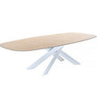 System Star Table Varaschin