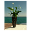 High end Vases Nano Planter by Vondom Casa Design