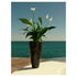 High end Vases Nano Planter by Vondom Casa Design