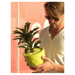 High end Vases Nano Planter by Vondom Casa Design