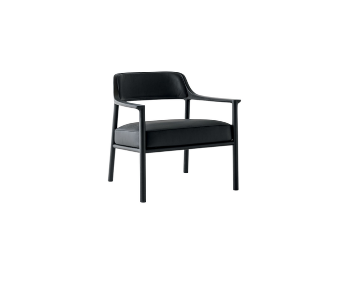 High End Walter Armchair by Molteni&C Casa Design Group