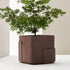 Aarde Planter Collection Indigenus