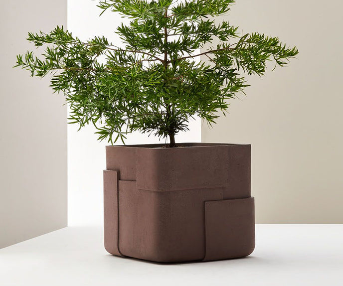 Aarde Planter Collection Indigenus