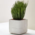 Aarde Planter Collection Indigenus
