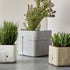 Aarde Planter Collection Indigenus