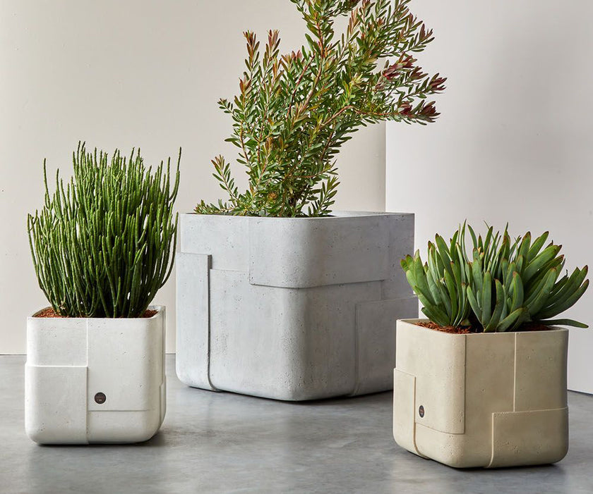Aarde Planter Collection Indigenus