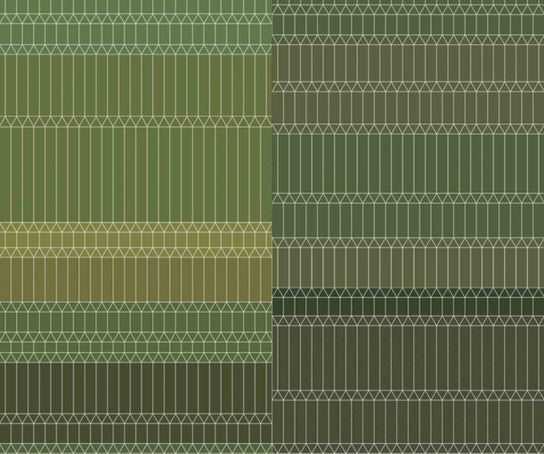 Zigzag Green Broadloom Moooi