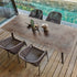 Cricket Dining Armchair Varaschin