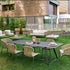 Cricket Dining Armchair Varaschin